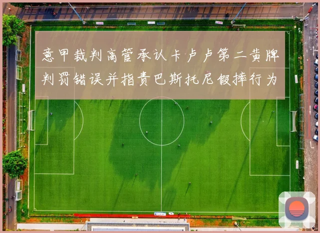 意甲裁判高管承认卡卢卢第二黄牌判罚错误并指责巴斯托尼假摔行为