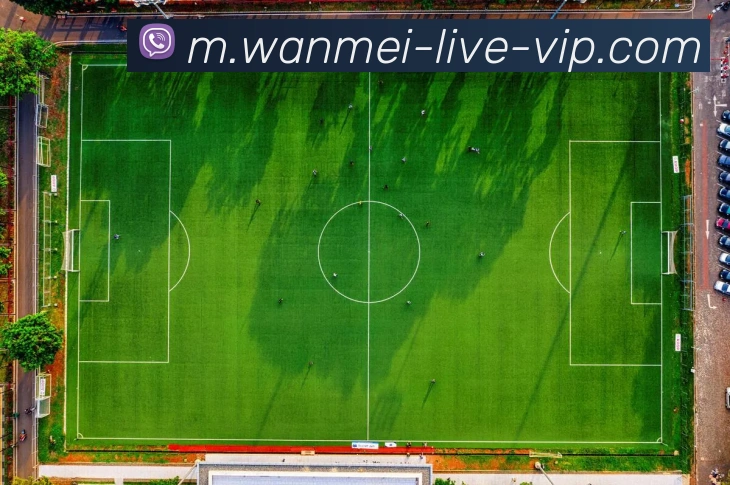 App Interface Preview